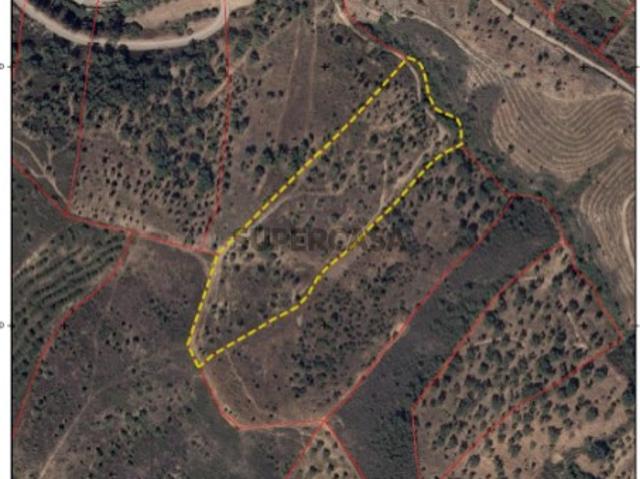 Terreno venda em São Bartolomeu De Messines, Faro