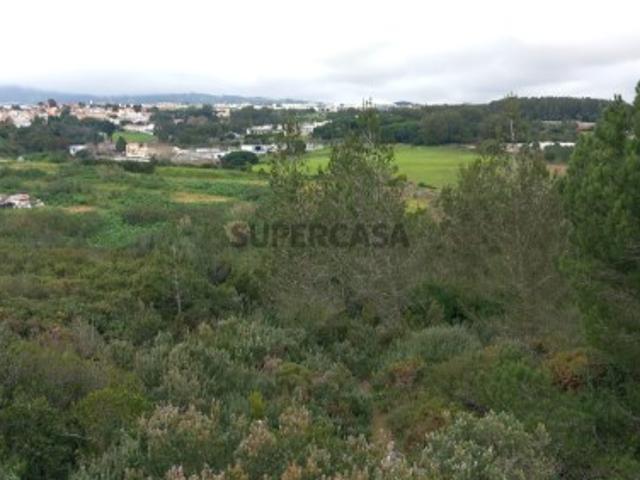 Terreno venda em Sintra, Lisboa