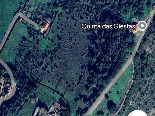 Terreno venda em Azeitão (São Lourenço e São Simão), Setúbal