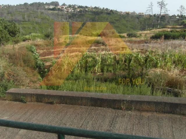 Terreno venda em Fajã Da Ovelha, Ilha Da Madeira