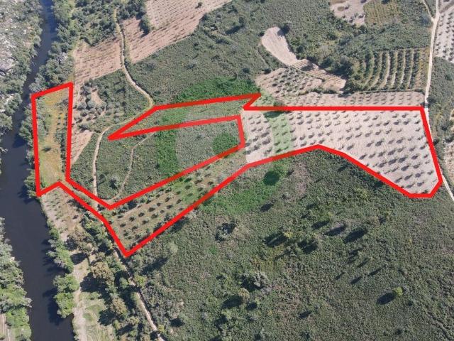 Terreno venda em Mirandela, Bragança