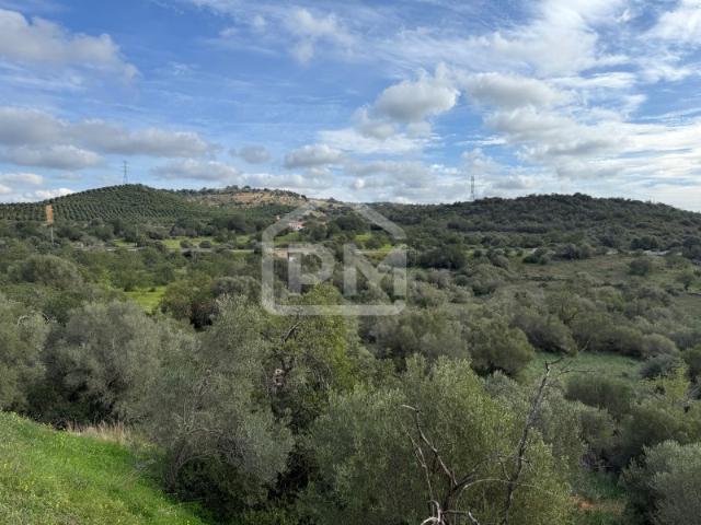 Terreno venda em Algoz, Faro