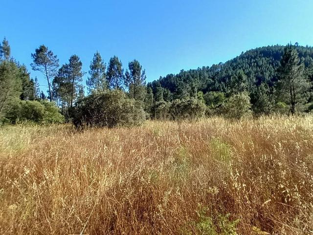 Terreno venda em Castelo Branco