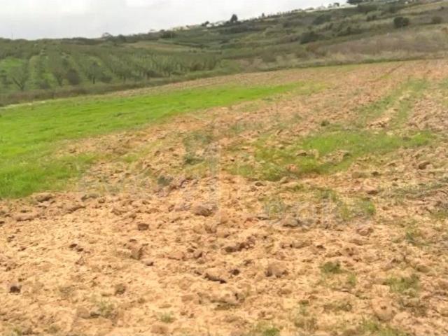 Terreno venda em Óbidos, Leiria