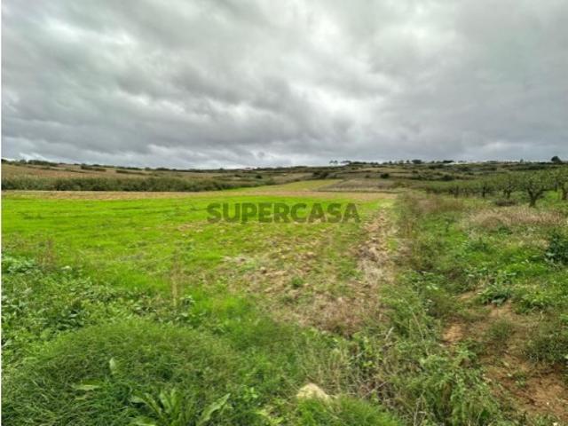 Terreno venda em Óbidos, Leiria