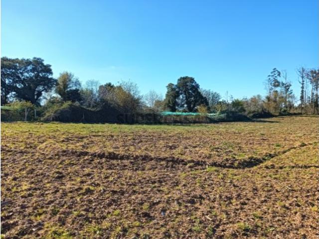 Terreno venda em Albergaria-a-velha, Aveiro