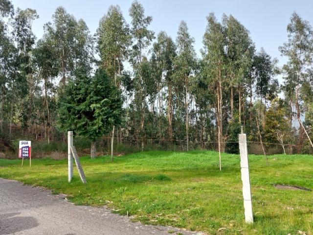 Terreno venda em Calvelos, Parada Do Bouro