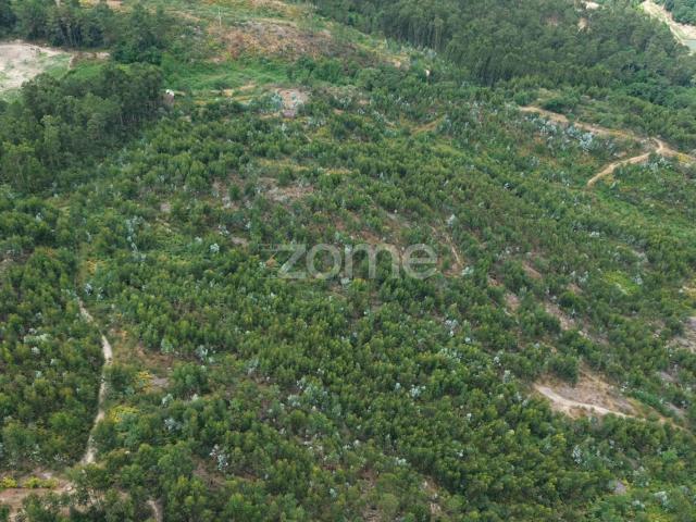 Terreno venda em Tremosinho, Banho E Carvalhosa