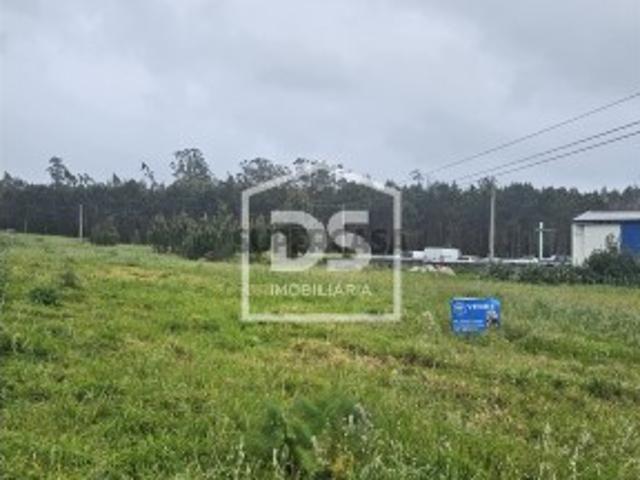 Terreno venda em Pombal, Carriço