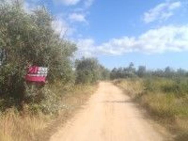 Terreno venda em Madalena e Beselga, Tomar