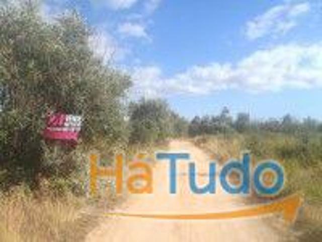 Terreno venda em Tomar, Santarém