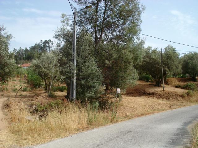 Terreno venda em Colégio Nuno Álvares, Tomar