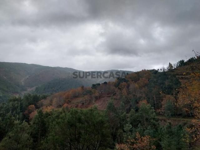 Terreno venda em Miranda Do Corvo, Coimbra