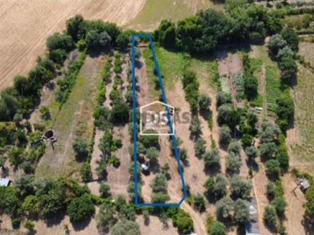 Terreno venda em Castelo Branco