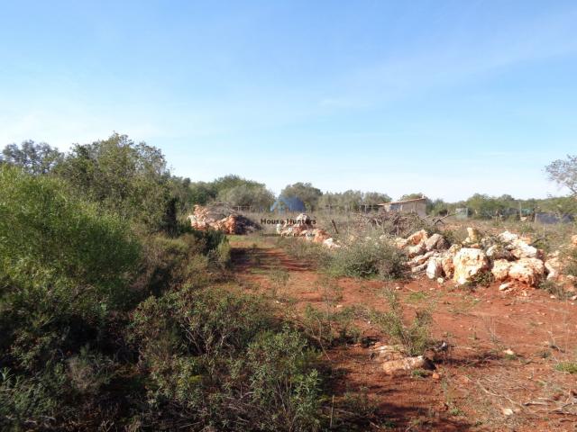 Terreno venda em Parrela, Loulé