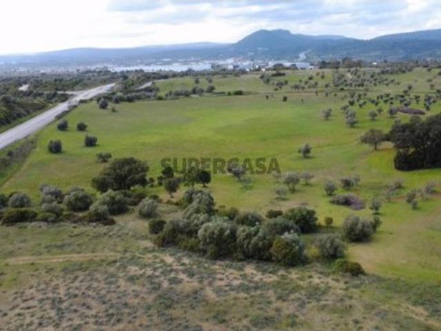 Terreno venda em Liteiros, Torres Novas