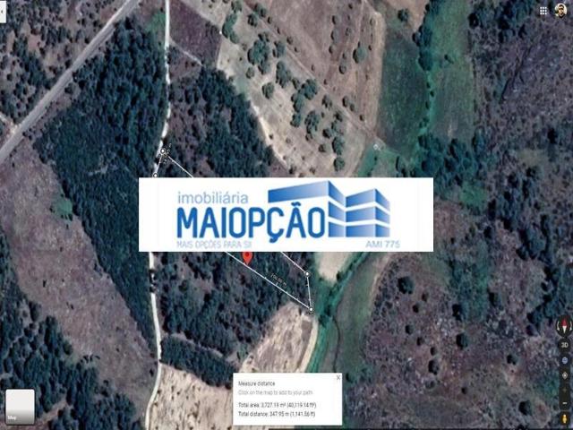 Terreno venda em Trancoso (São Pedro e Santa Maria) e Souto Maior, Trancoso