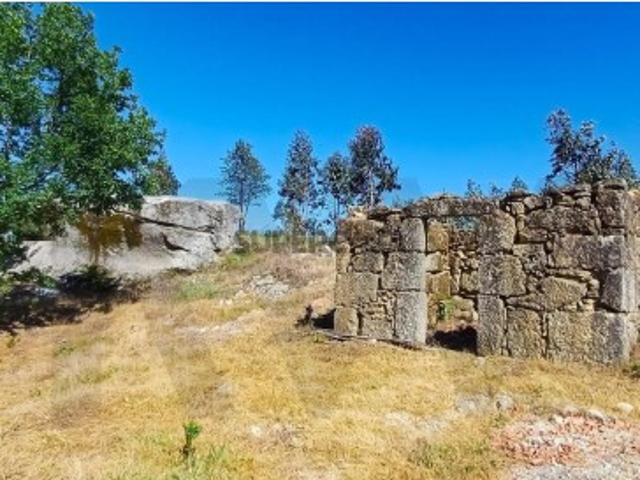 Terreno venda em Carregal Do Sal, Viseu