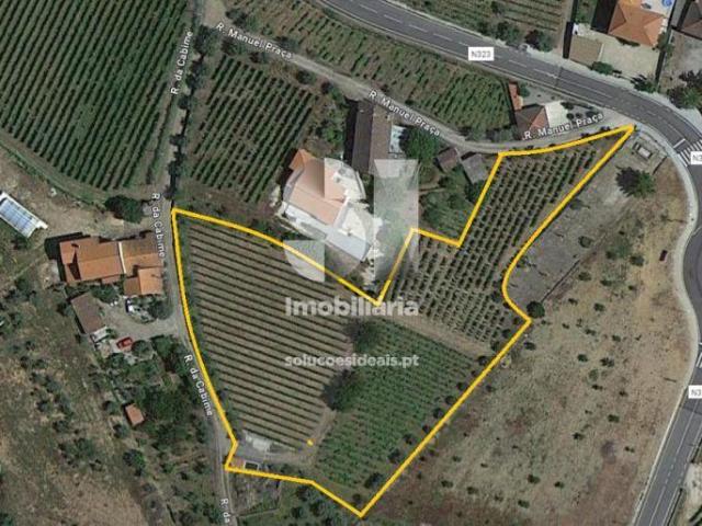 Terreno venda em Sabrosa, Vila Real
