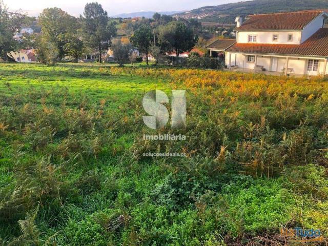 Terreno venda em Sabrosa, Vila Real