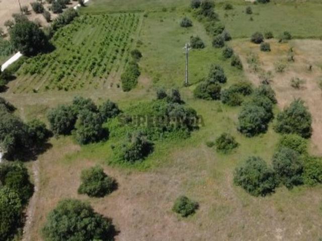Terreno venda em Olaia e Paço, Torres Novas