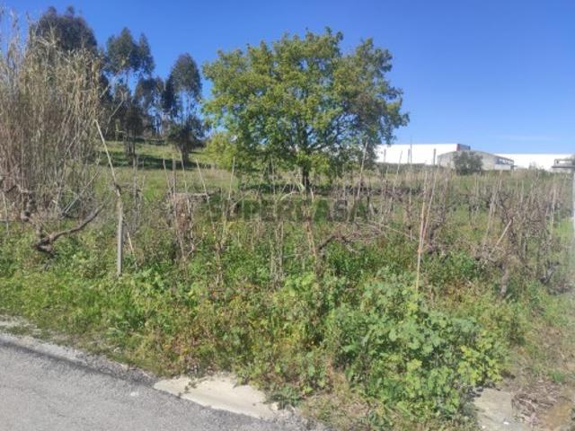 Terreno venda em Chão da Feira, Porto De Mós