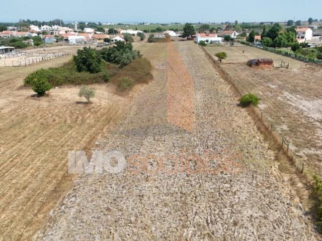 Terreno venda em Alpiarça, Santarém