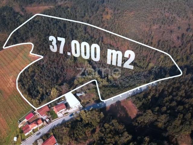 Terreno venda em Devesa, Bitarães