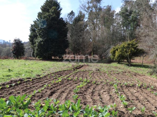 Terreno venda em Vale, Arcos De Valdevez