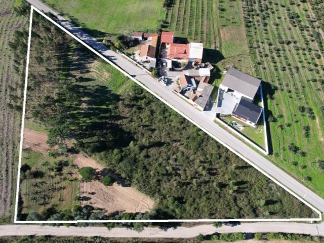 Terreno venda em Bombarral, Leiria