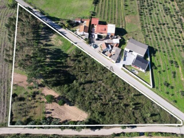 Terreno venda em Bombarral, Leiria
