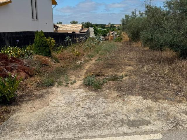 Terreno venda em Coimbrã, Coimbra
