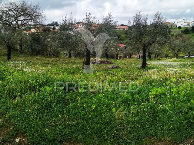 Terreno venda em Leiria