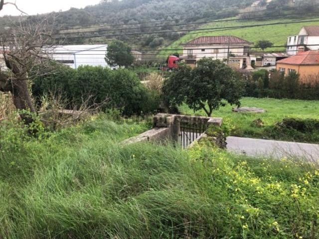 Terreno venda em A-de-Freire, Calhandriz