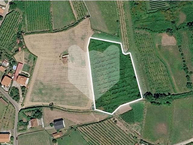 Terreno venda em Monção, Viana Do Castelo