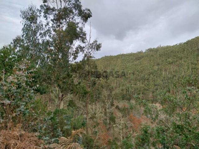 Terreno venda em Miranda Do Corvo, Coimbra