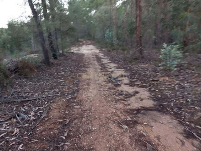 Terreno venda em Castelo Branco