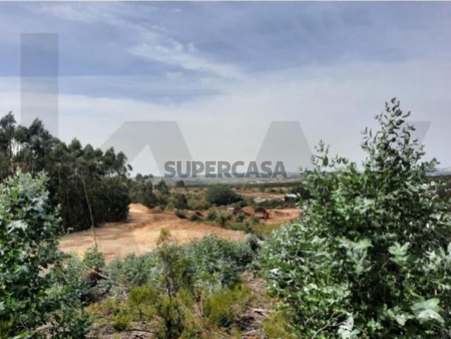 Terreno venda em Venda Seca, Sintra