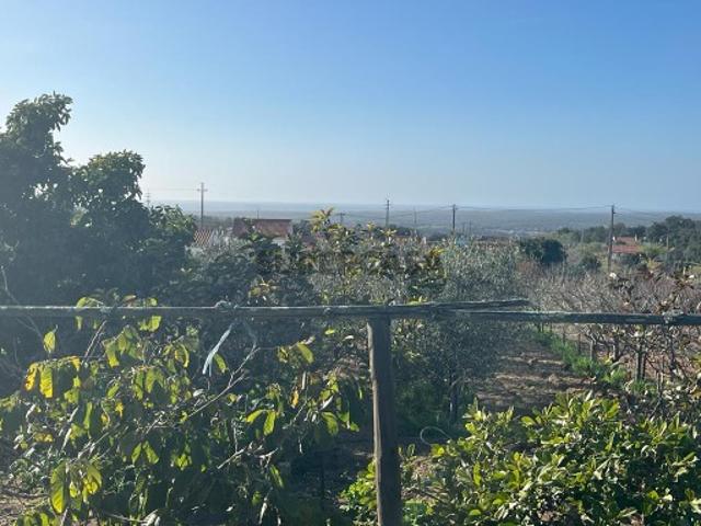Terreno venda em Grândola, Setúbal