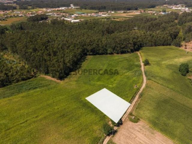 Terreno venda em Ovar, Aveiro
