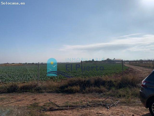 Local Comercial en venta en La Magdalena, Campo de Cartagena y Mar Menor