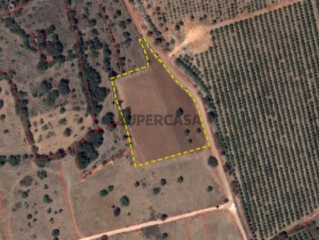 Terreno venda em São Bartolomeu De Messines, Faro