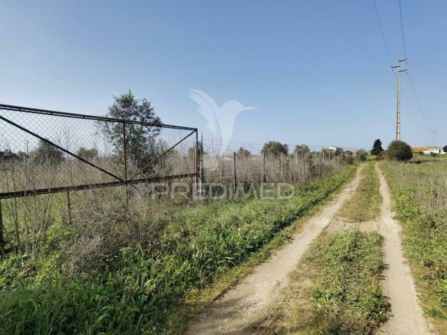 Terreno venda em Santarém