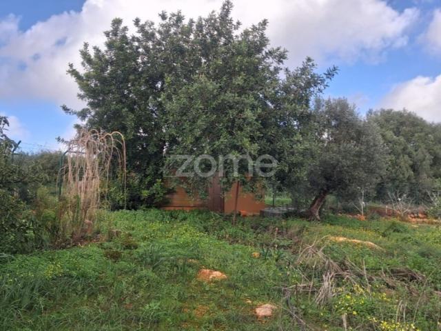 Terreno venda em Silves, Faro