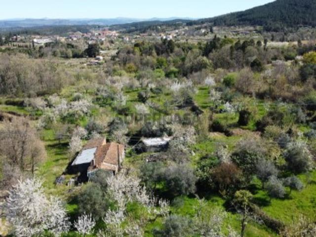 Terreno venda em Castelo Branco, Aldeia Nova Do Cabo