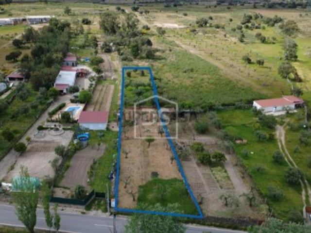 Terreno venda em Castelo Branco