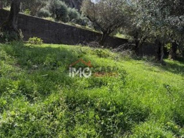 Terreno venda em Portalegre