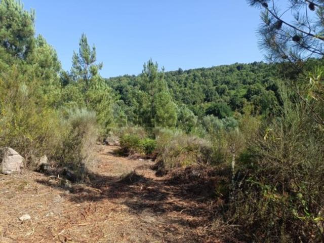 Terreno venda em Guarda, Algodres