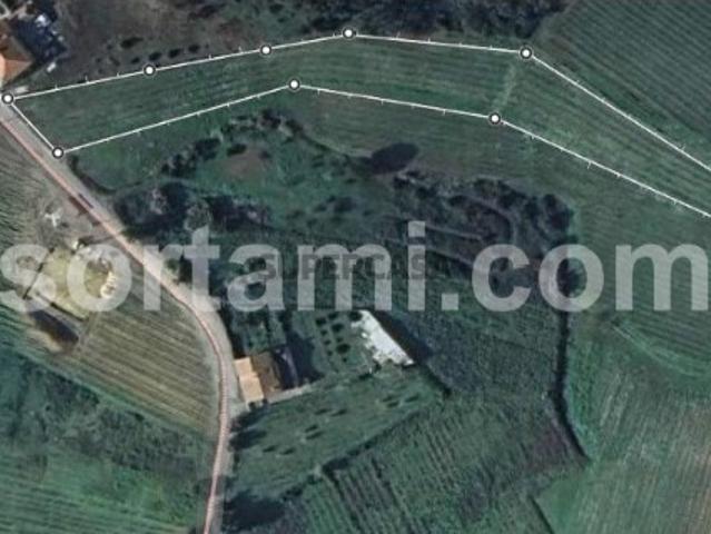 Terreno venda em Anadia, Aveiro