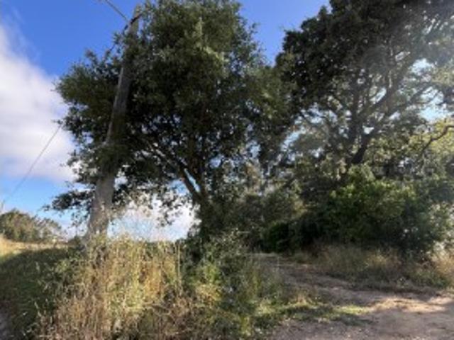 Terreno venda em Alcobaça, Leiria